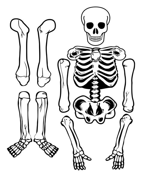Skeleton Bones Template For Costumes